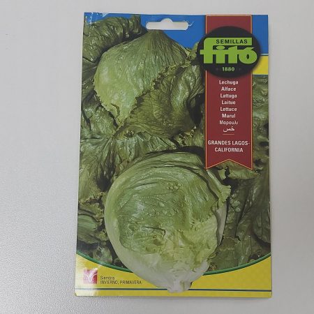 Lettuce Great Lakes Juli