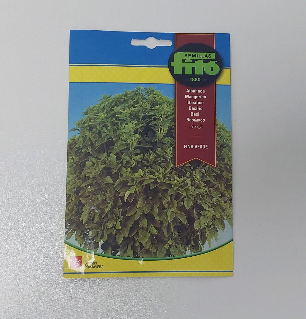 Basil Fine Leafed Desert Green Qatar