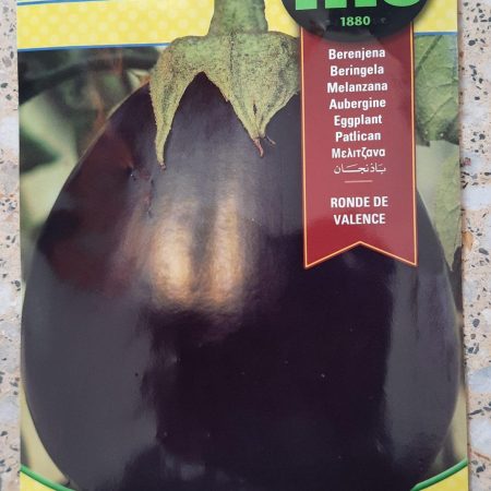 Eggplant Larga Negra