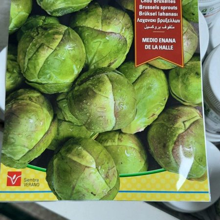 Medio Enena De Lahalle