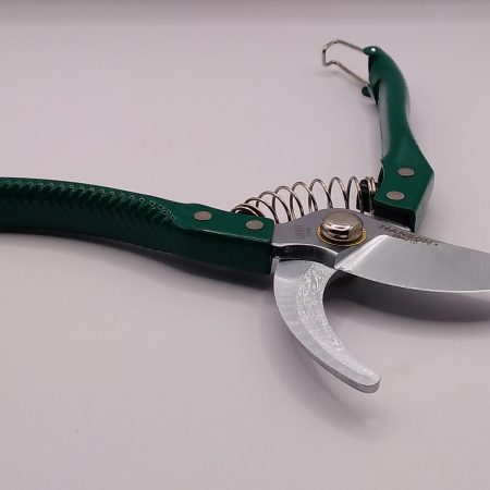 Pinching Cutter Green