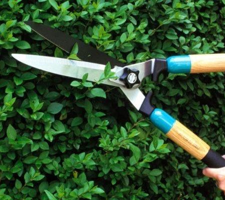 Branch Cutting Cutter